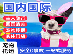 吴圩航空快运国际宠物托运 【国